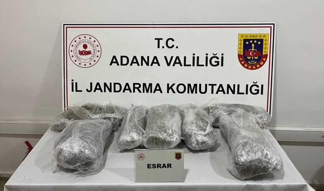 Adana'da gerçekleştirilen operasyonda 6