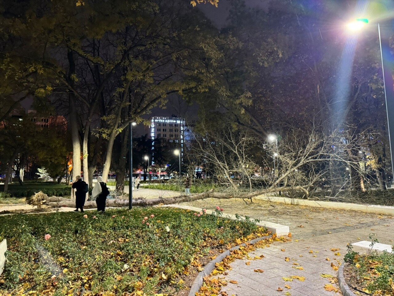 Ankara’da Rüzgar Ağaç Devrildi