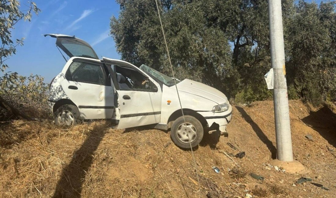 Aydın'ın Germencik ilçesinde meydana