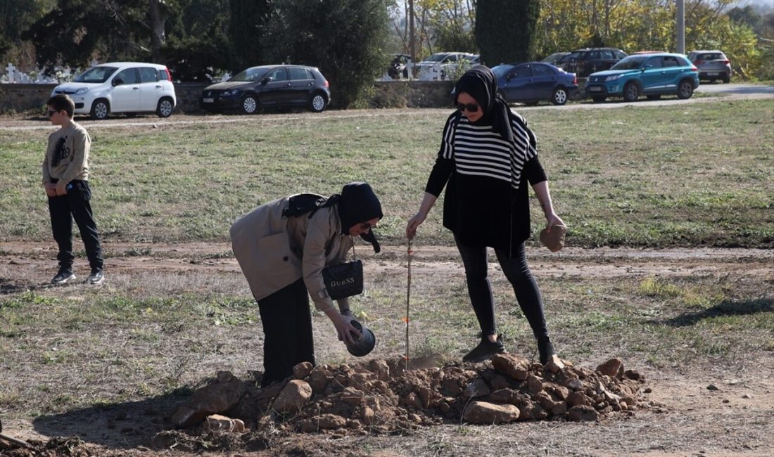 Batı Trakya Türkleri, orman