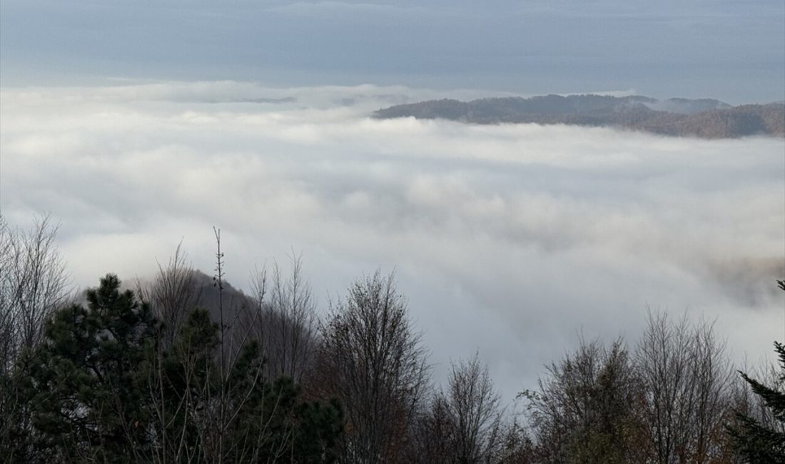 Bolu Dağı, sürücülerin doğa