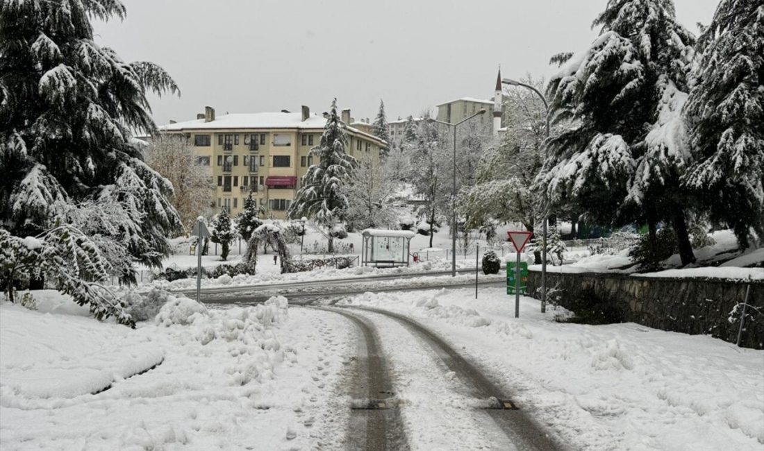 Bolu ve Düzce'de kar