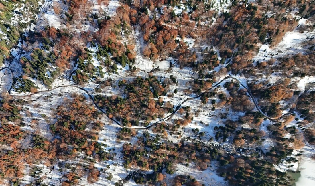 Borçka Karagöl Tabiat Parkı,