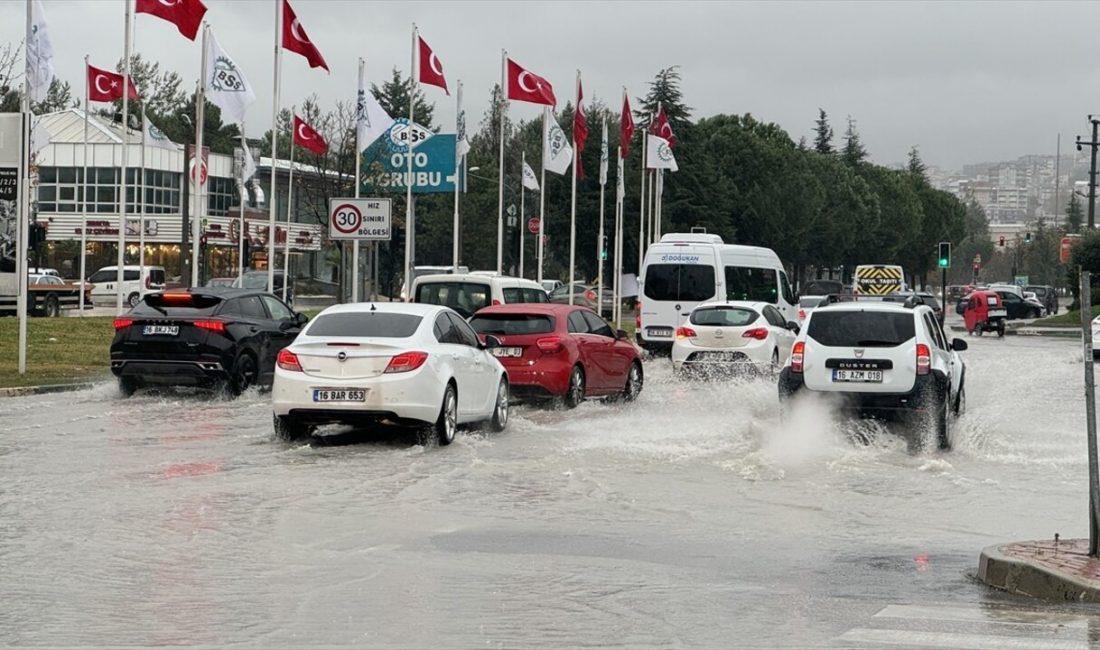 Bursa'da lodos sonrası başlayan