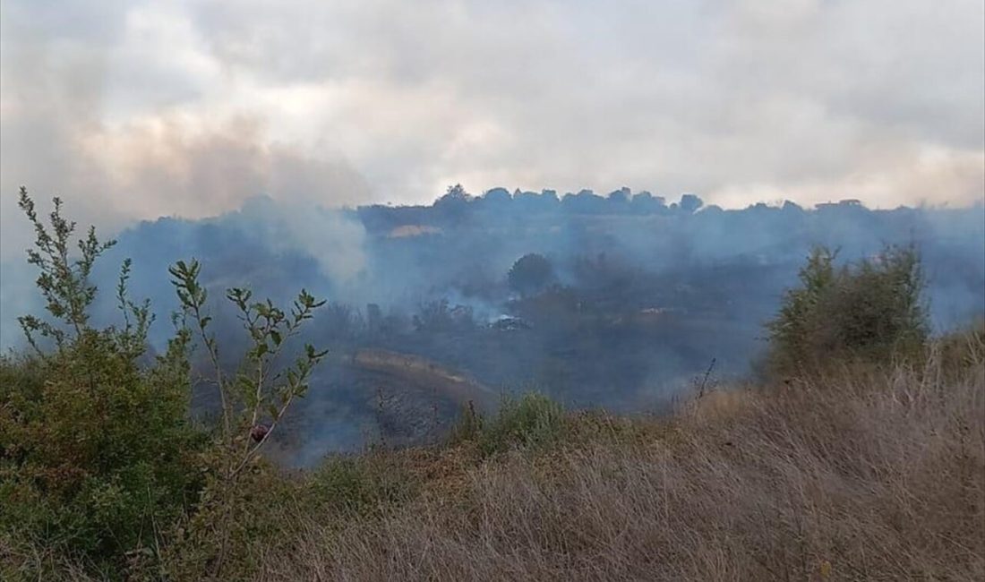 Çanakkale'nin Biga ilçesinde çıkan