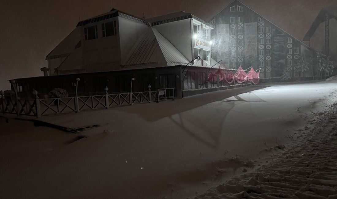 Erzurum ve Tunceli'de etkili