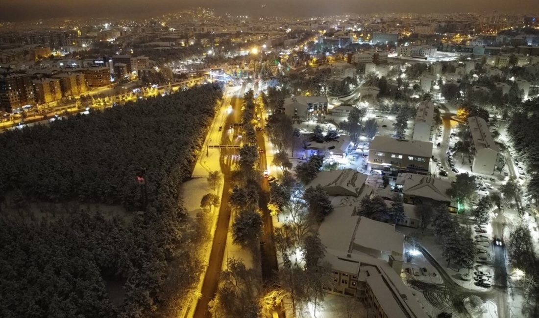 Erzurum'daki tarihi yapılar, yoğun