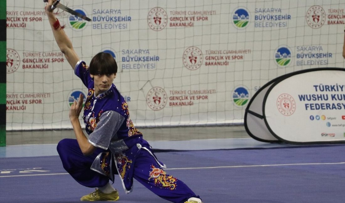 Sakarya'da düzenlenen Geleneksel Wushu