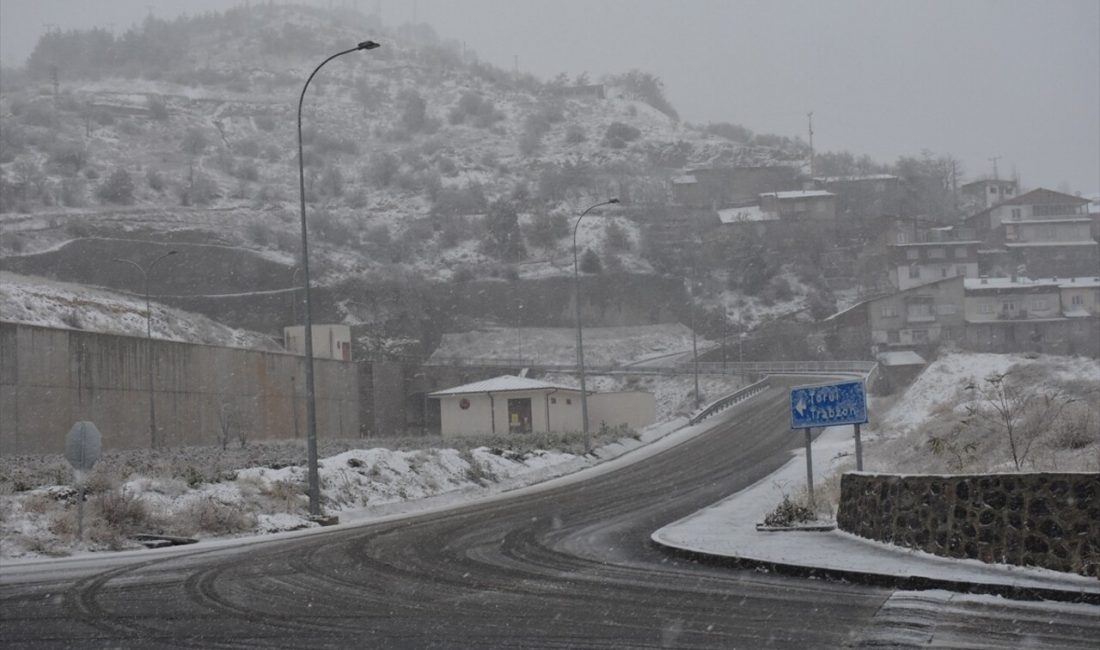 Gümüşhane ve Giresun'da kar