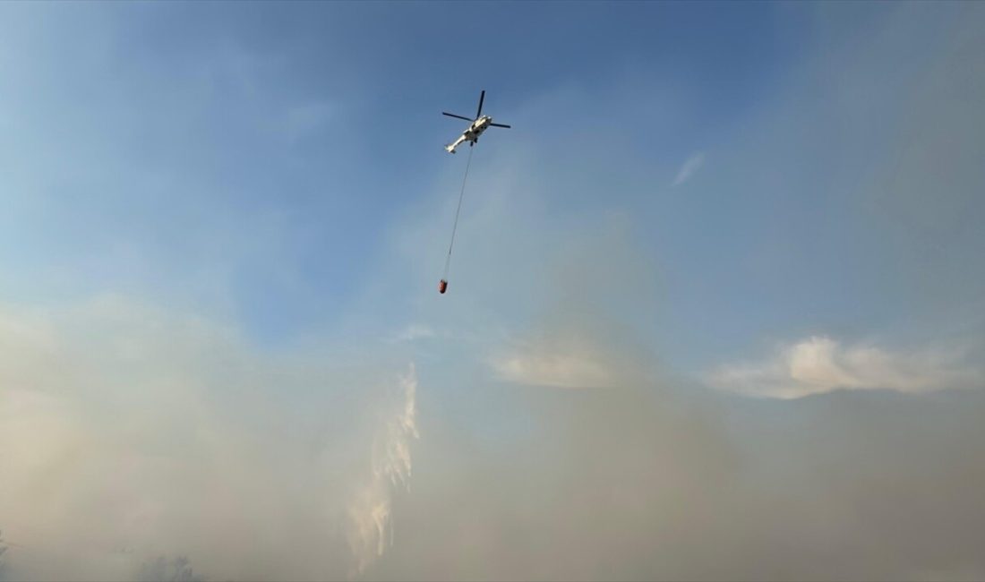 Hatay'da çıkan orman yangını