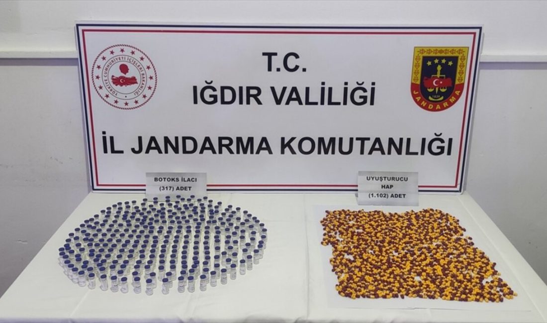 Iğdır'da gerçekleştirilen operasyonla gümrük