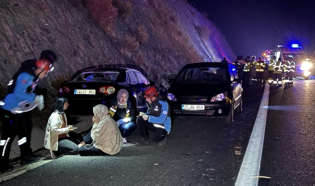 İstanbul-İzmir Otoyolu'nda tomruklara çarpan