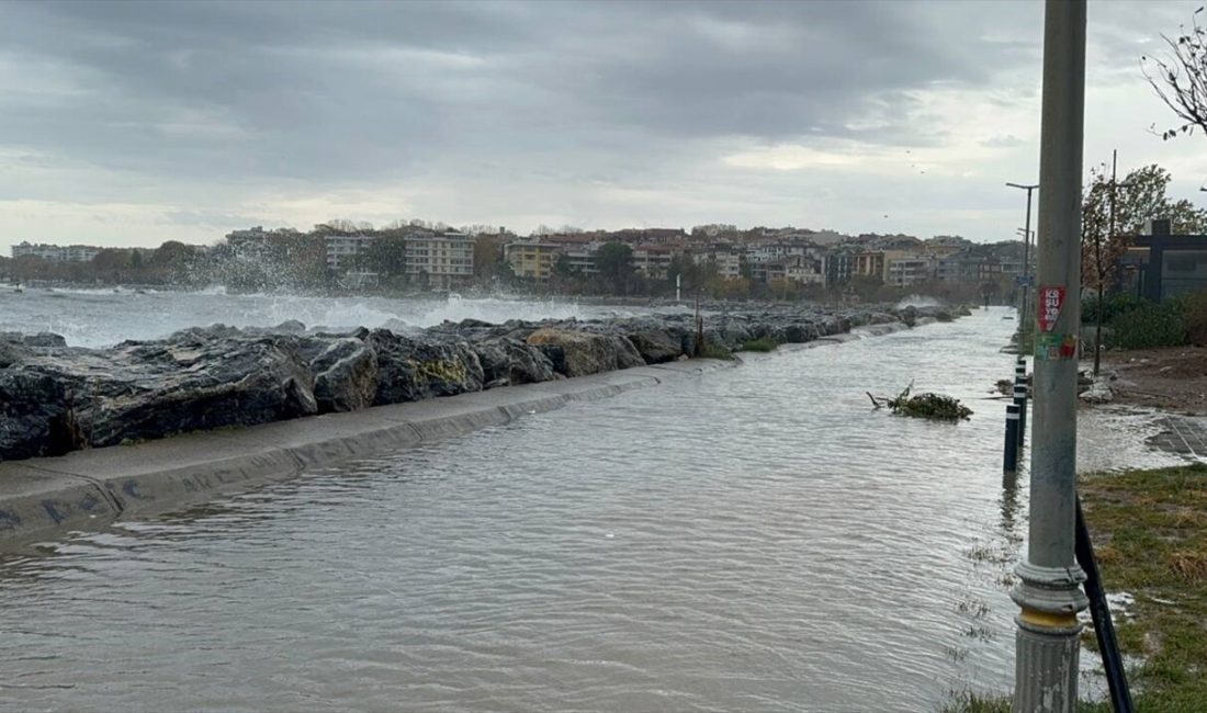 Şiddetli lodos, İstanbul sahillerinde