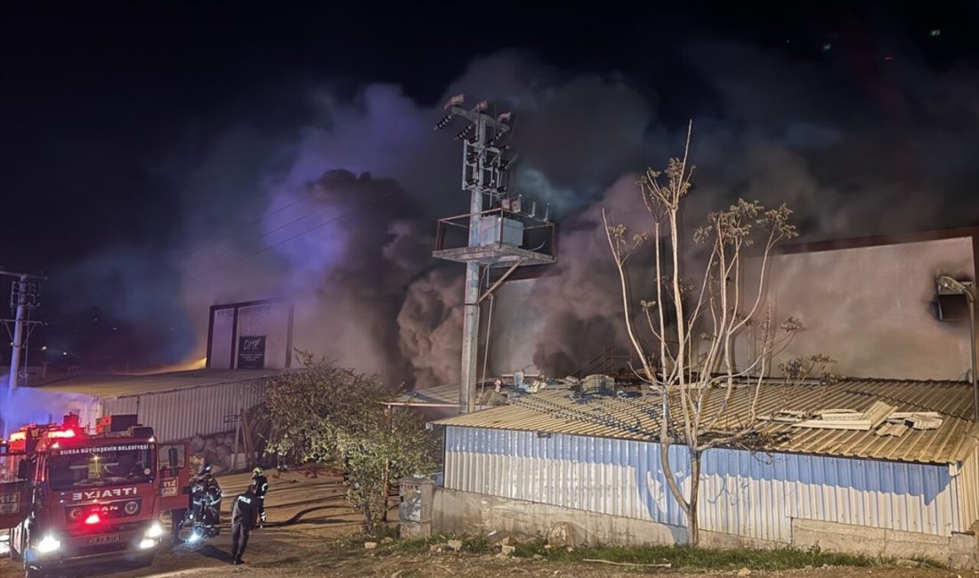 İzmir'in Seferihisar ilçesinde polis