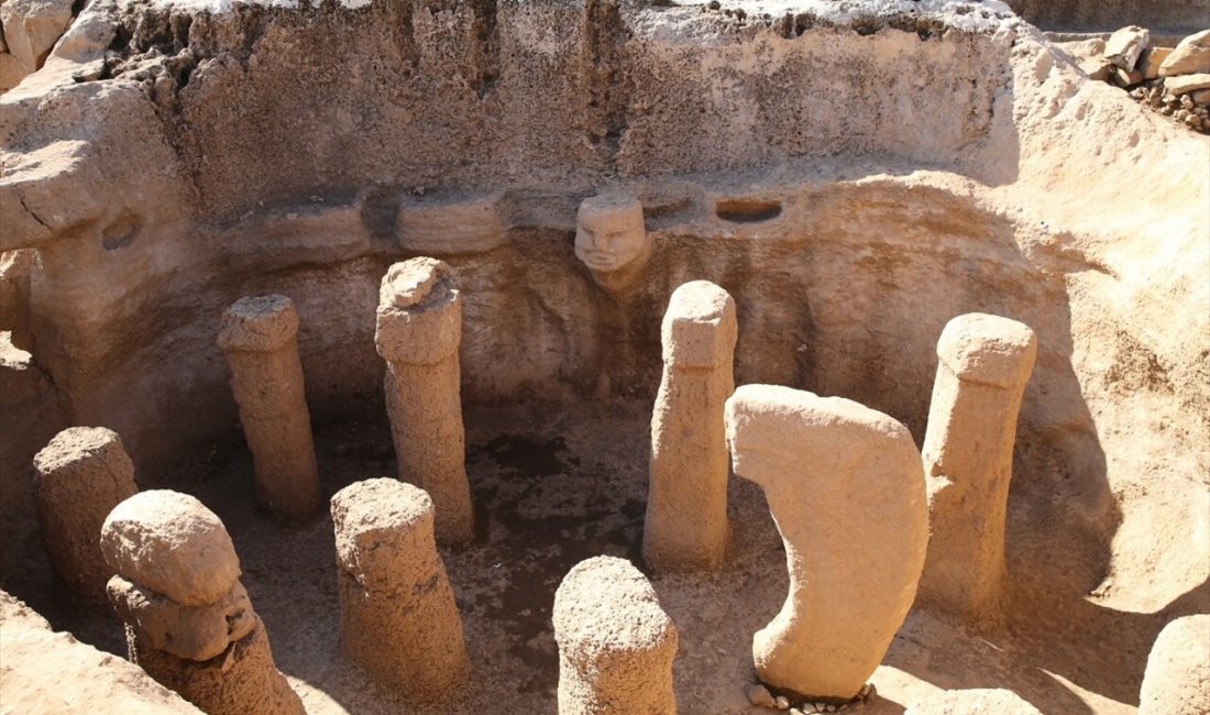 Şanlıurfa'daki Karahantepe kazısında leopar,