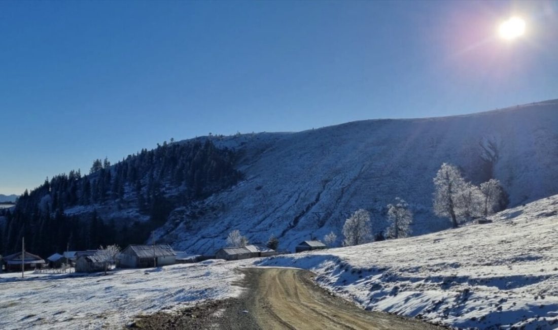 Düzce'nin 1830 rakımlı yaylasında