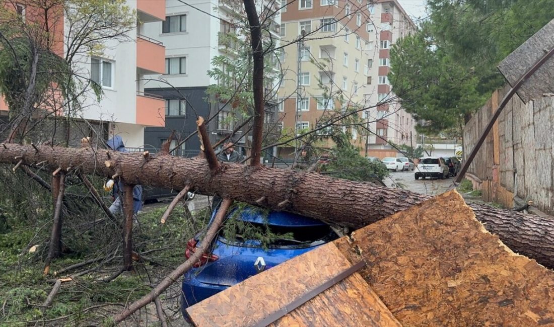 Kartal'da sağanak ve rüzgar