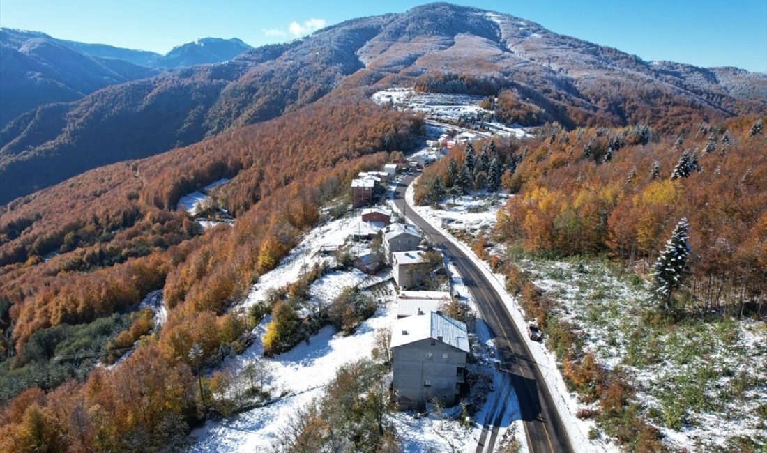 Kastamonu'nun Bozkurt ilçesinde kar