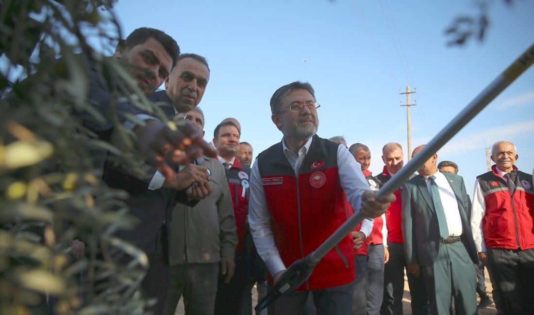 Bakan İbrahim Yumaklı, Musabeyli