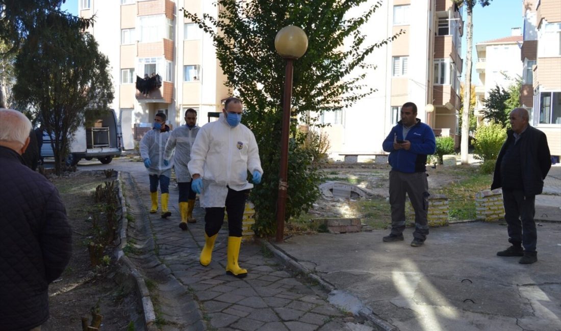 Kırklareli'nin Lüleburgaz ilçesinde meydana