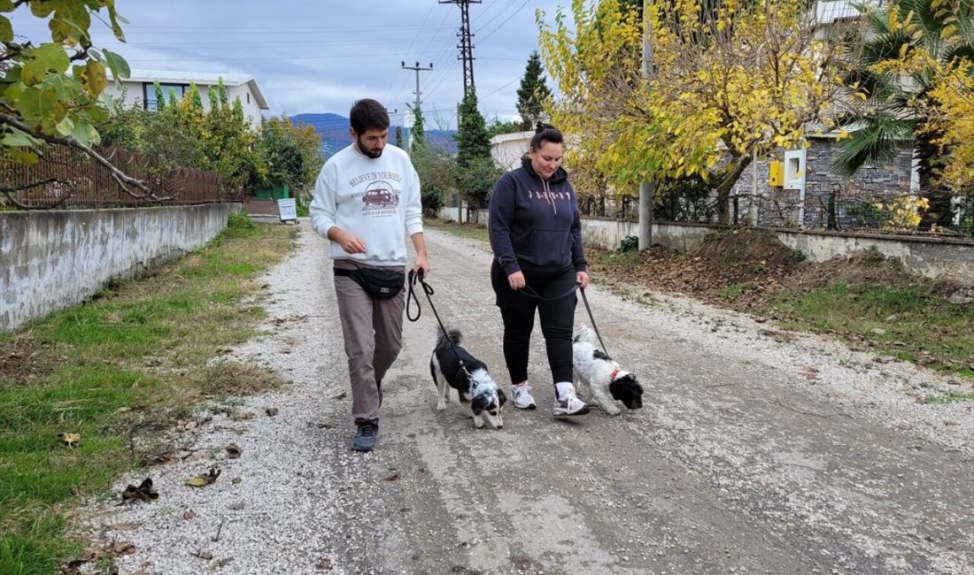 Veteriner Baybars Üregen, köpek