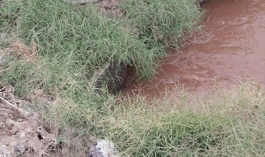 Turgutlu Atıksu Arıtma Tesisi'nde