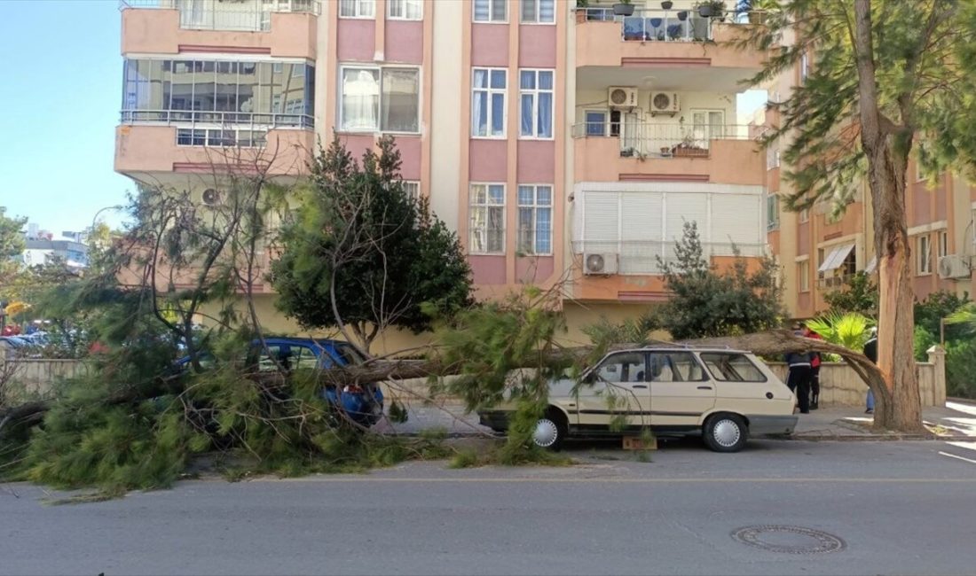 Gülnar'daki prefabrik tesiste uçan