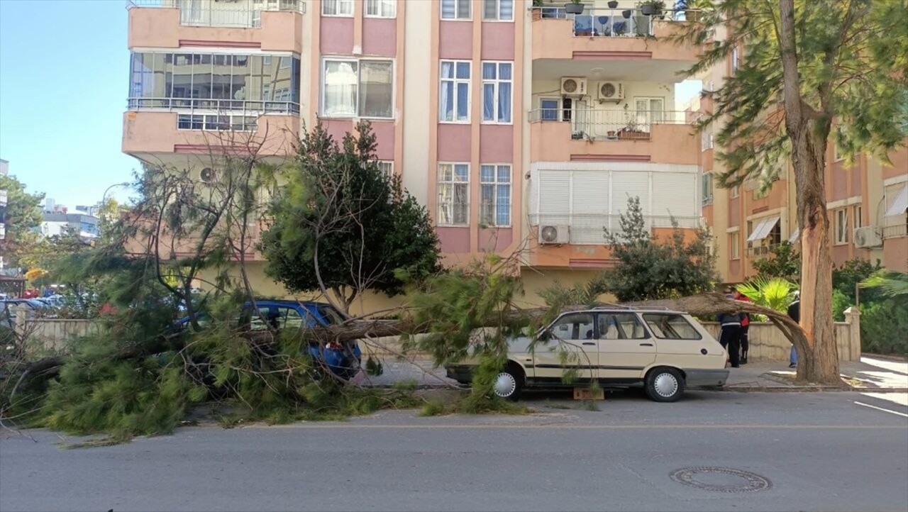 Mersin’de Rüzgar Felaketi: 1 Ölü, 1 Yaralı