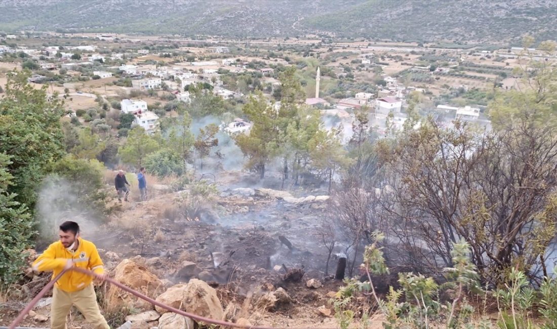 Silifke'de yerleşim alanlarına yakın