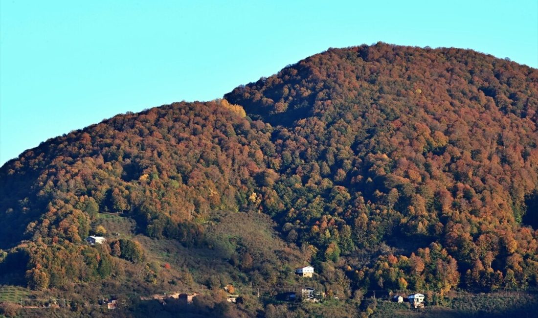 Samsun'un Nebiyan Dağı, sonbaharın