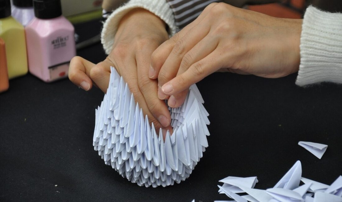 Süreyya Norkhodjaeva, Japon origami