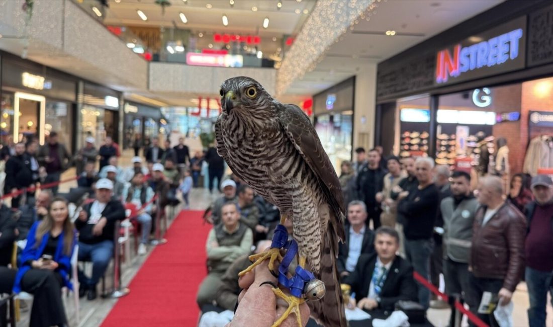 Rize'de düzenlenen Atmaca Güzellik