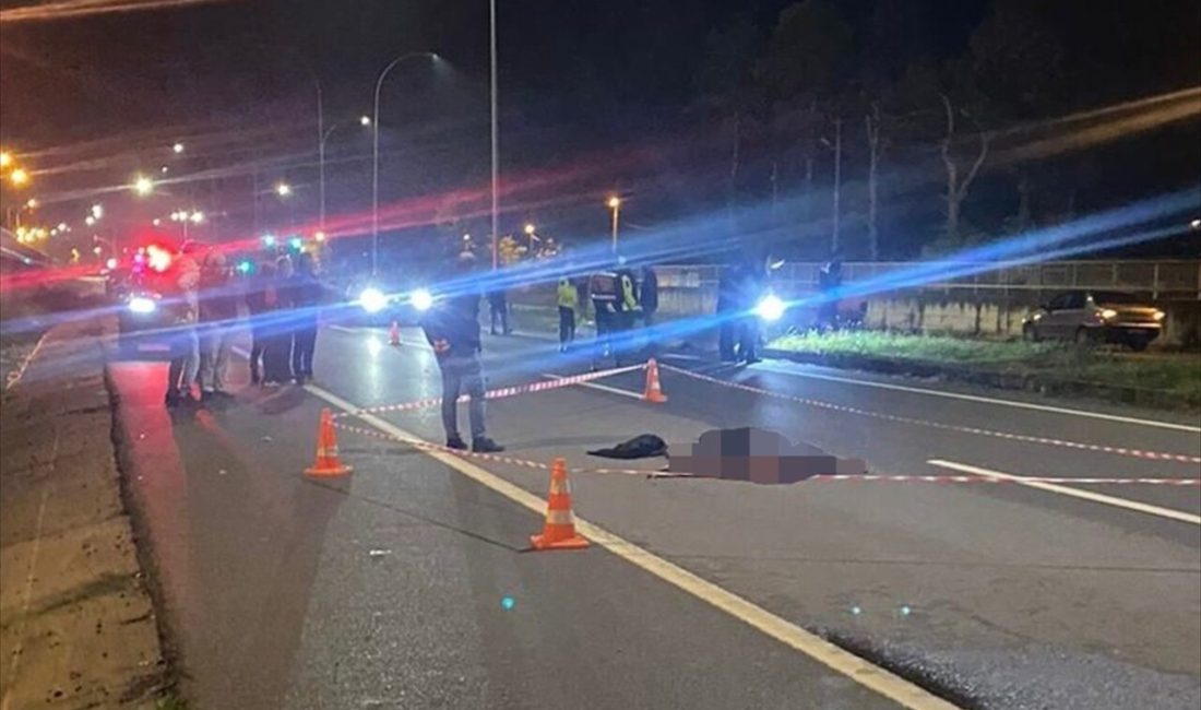 Sakarya'nın Kocaali ilçesinde tarım