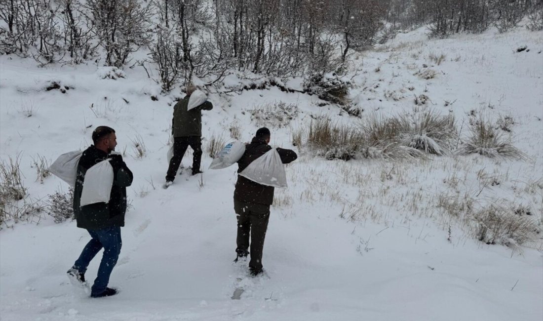 Siirt'te olumsuz hava koşulları