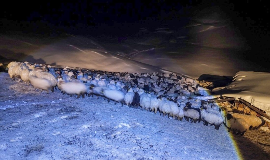 Trabzon'un Maçka ilçesinde kar