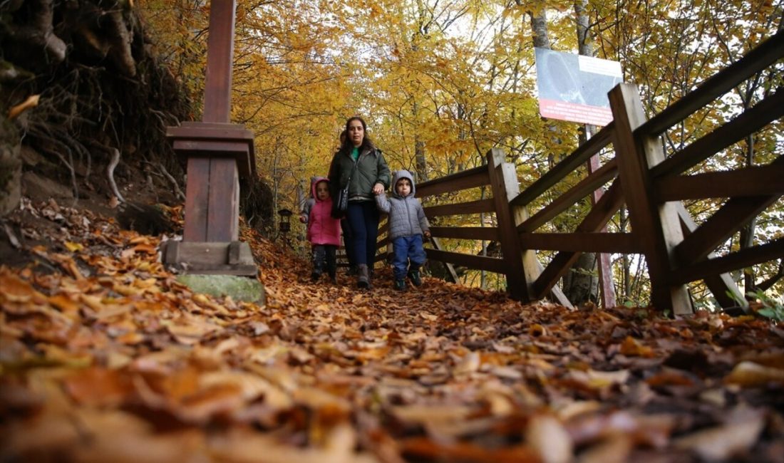 Ordu'daki Ulugöl Tabiat Parkı,