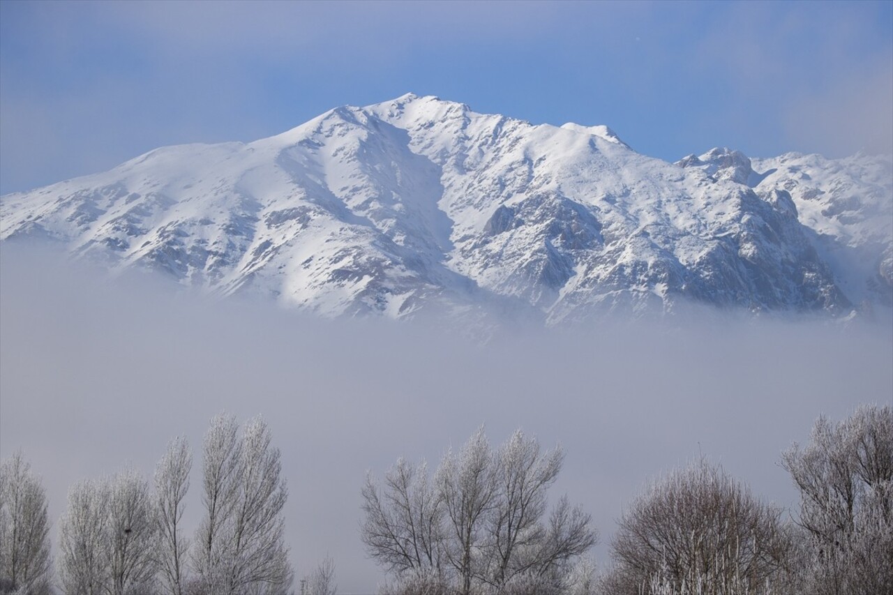 Tunceli'nin Ovacık ilçesinde soğuk hava nedeniyle dağları sis, ovalardaki ağaç ve bitkileri ise...