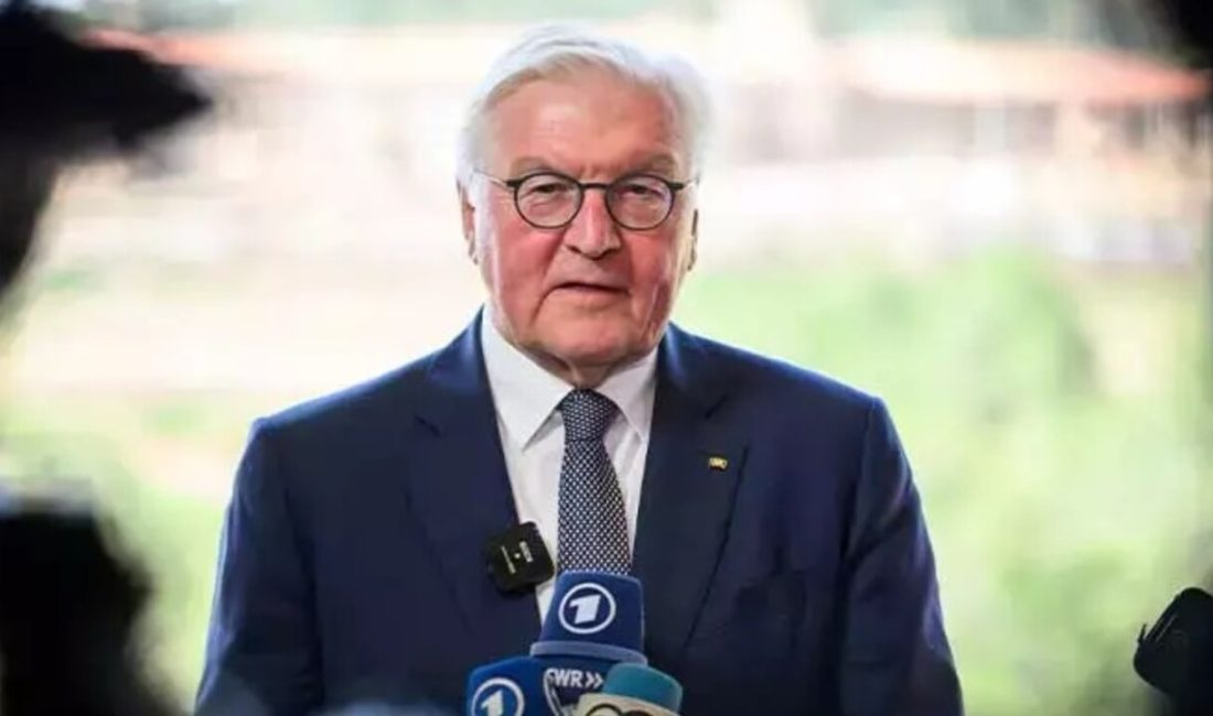 Almanya'nın Cumhurbaşkanı Steinmeier, ülkedeki