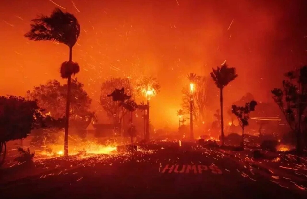 Los Angeles'ta orman yangını felaketi